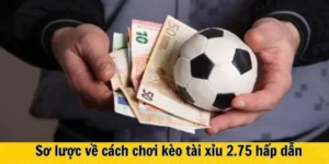 Hướng Dẫn Cách Chơi Kèo 2.75 Tại 7M Chi Tiết Dễ Hiểu Cho Người Mới