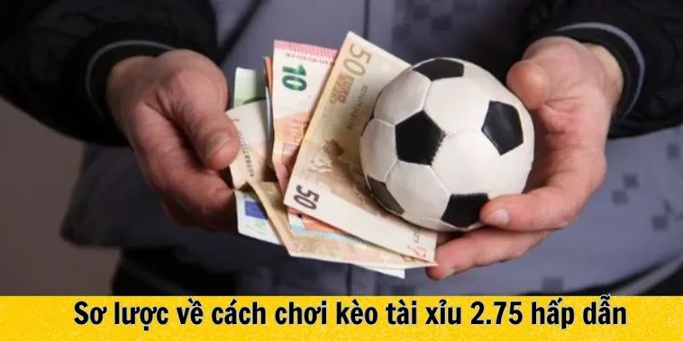 Hướng Dẫn Cách Chơi Kèo 2.75 Tại 7M Chi Tiết Dễ Hiểu Cho Người Mới