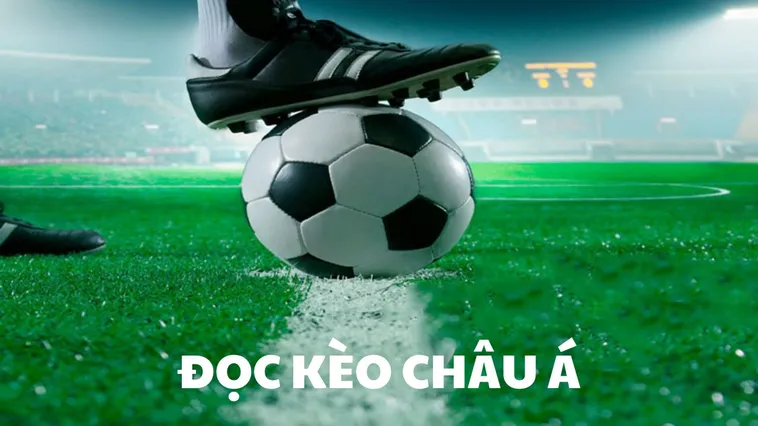 Hướng Dẫn Cách Chơi Kèo Châu Á Tại 7M Chi Tiết Dễ Hiểu Cho Người Mới 2 Hướng Dẫn Cách Chơi Kèo Châu Á Tại 7M Chi Tiết Dễ Hiểu Cho Người Mới