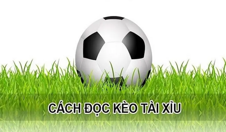 Hướng Dẫn Cách Chơi Kèo Tài Xỉu Hiệp 1 Tại 7M Chi Tiết Dễ Hiểu