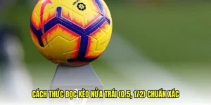Hướng Dẫn Chi Tiết Cách Chơi Kèo Chấp 0.5 Tại 7M Dành Cho Người Mới