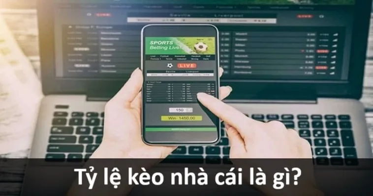 Kèo Bóng Đá Là Gì Cách Đọc Tỷ Lệ Và Chọn Kèo Chuẩn Xác Nhất