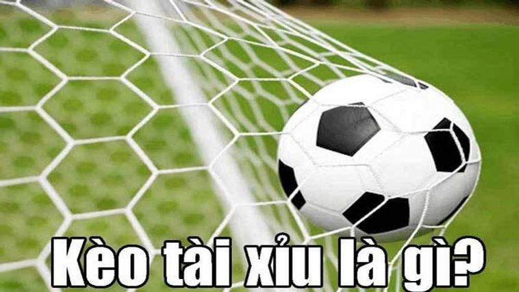 Cách Chơi Kèo Tài Xỉu Bóng Đá Tại 7M Hiệu Quả Cho Người Mới 1 Cách Chơi Kèo Tài Xỉu Bóng Đá Tại 7M Hiệu Quả Cho Người Mới